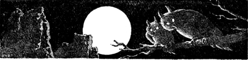Black and white illustration of two owls sitting on a branch, looking at the readers, with a full moon over a mesa in the background.