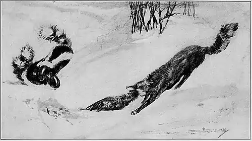 Wildfol00scov pg083.jpg