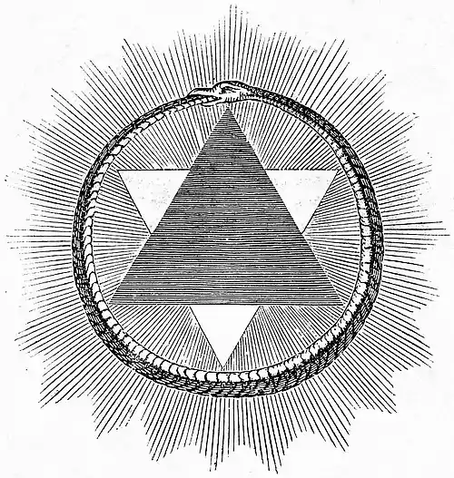 Woman in the Nineteenth Century - frontispiece.jpg