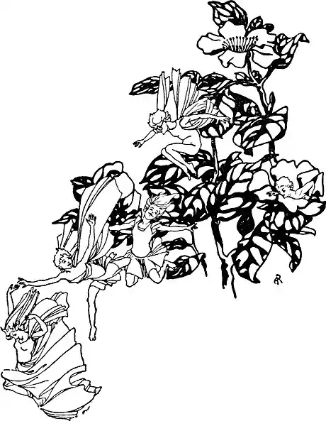 Zankiwank Bletherwitch-063.jpg