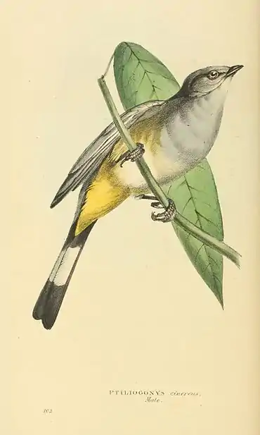 Plate 102.