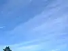 Cirrus fibratus and Cirrocumulus.jpg