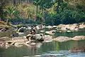 Children in a river