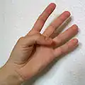 4 sair-gesa, sair-gu, sair-ta