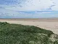 Wide sandy beaches (Fanø)