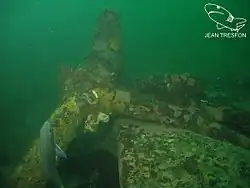 Rudder stock