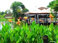 Parque de la caña