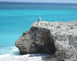 Rock fishing in July inside the calm reef.