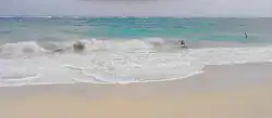 Is this a sea monster stalking these surfers inside Cobblers Reef? Note the eyes, snout and pointed tail. But a very large log could be just as dangerous.