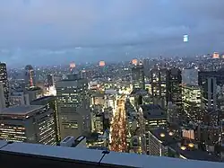 View from New York Bar at Park Hyatt Tokyo