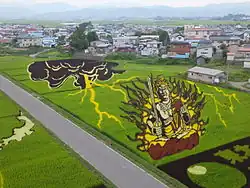 Rice Paddy Art
