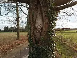Bat