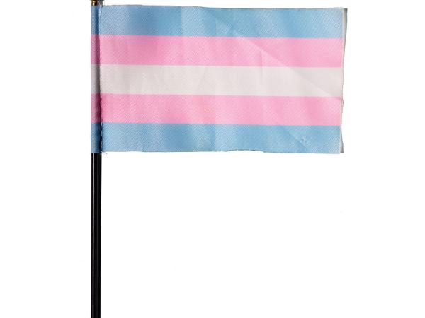 Small transgender pride flag with pale blue, pink, and white stripes