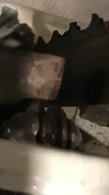 roller2