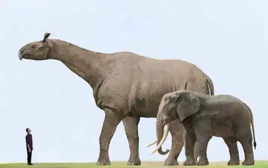 Paraceratherium