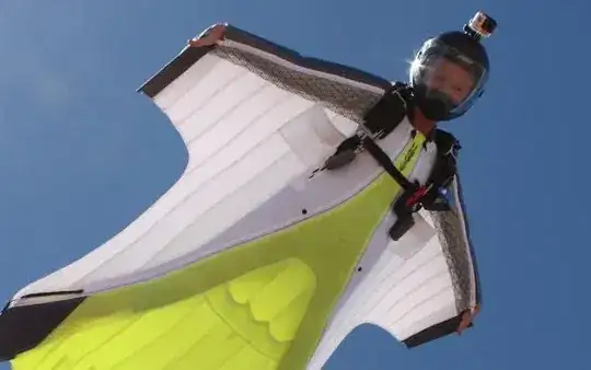 I'm more than a bird, I'm more than a plane! I'm a birdplane!