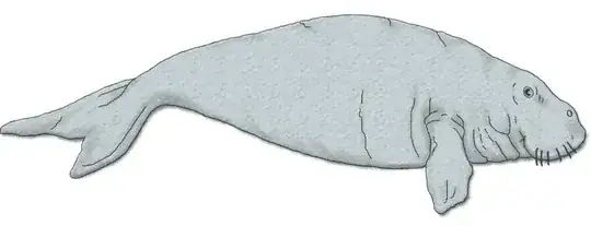 Dugong