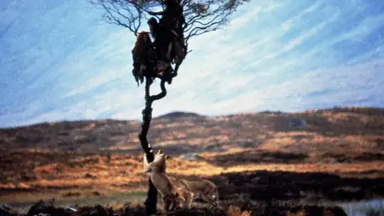 cavemen in tree