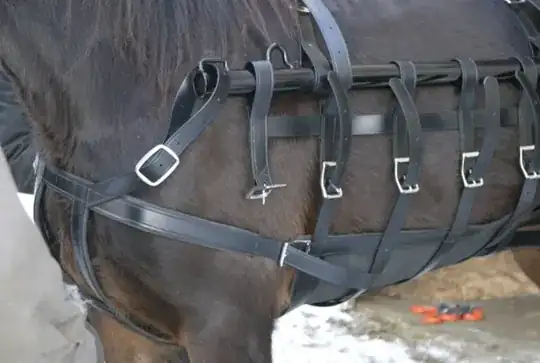 Horse harness