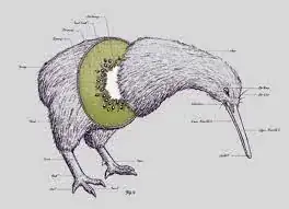 diagram of me