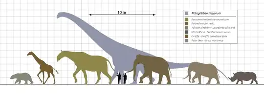 Paraceratherium 2