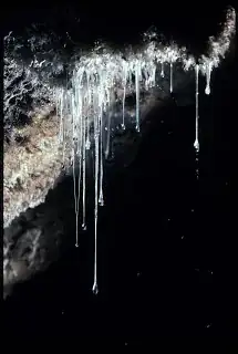 snottites