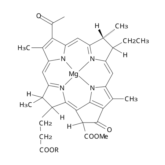 Bacteriochlorophyll