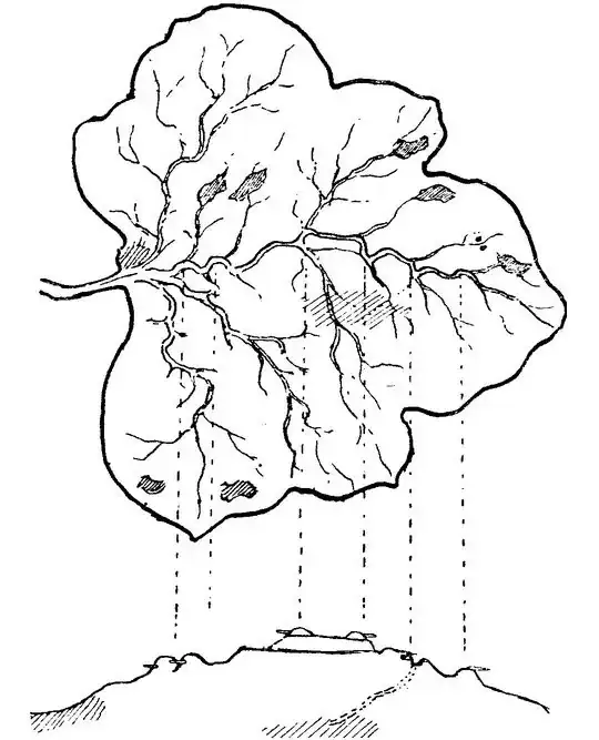 Map of a Fort Disguised as a Leaf