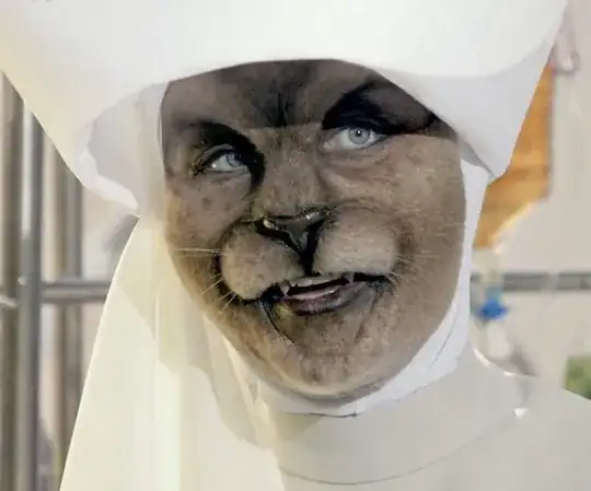 cat person 1