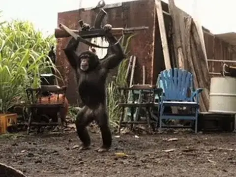 Ape With AK-47 (Gun)