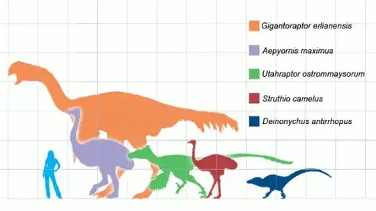 multiple flightless bird and raptor graphics