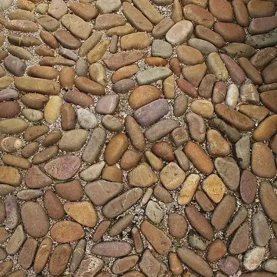 cats heads