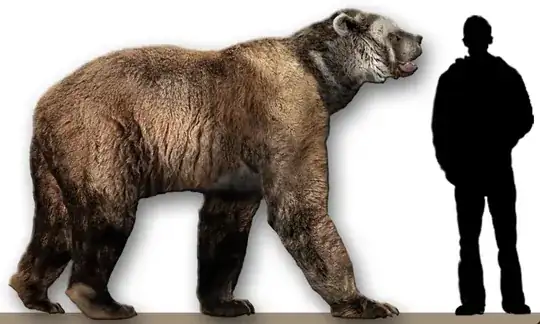 Arctotherium