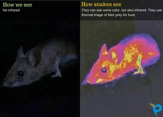 Snake vision
