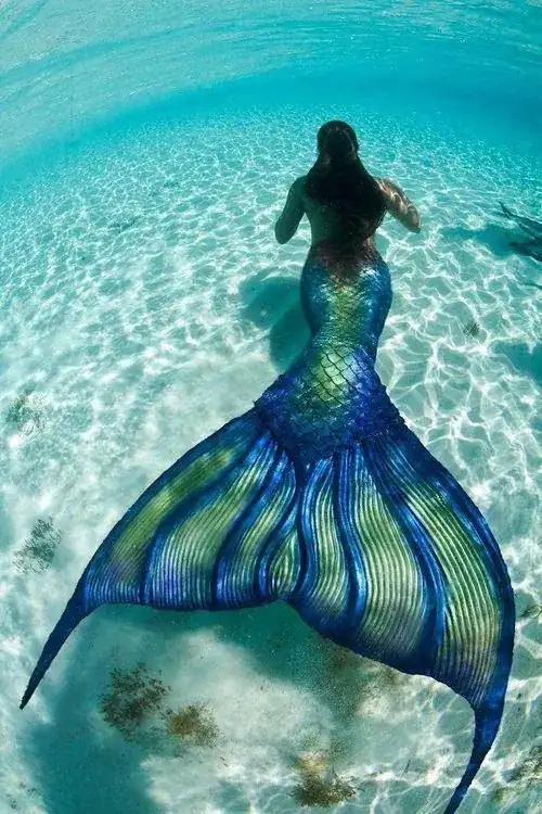 mermaid