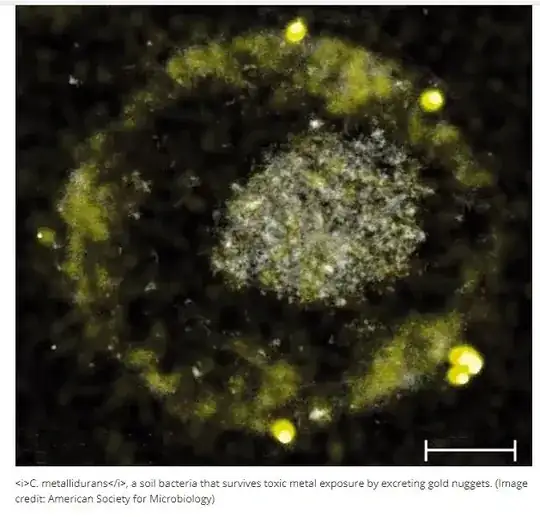 bacteria w nugs