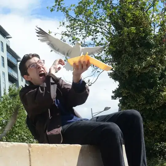 Seagulls are scary