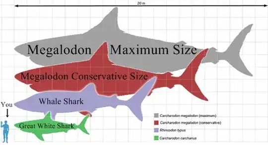 Megalodon was mega!