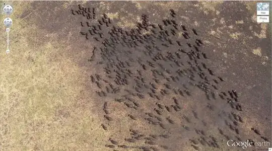Google Earth picture