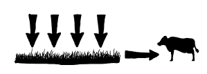 Blockquote