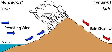rain path
