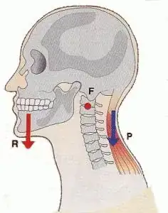 neck lever