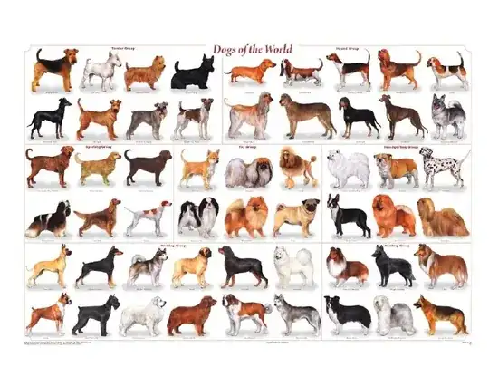 dogs