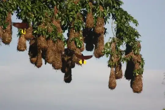 Hammock-like