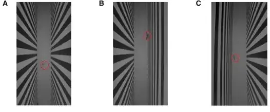 Here, a bird is shown as flying much closer to the horizontal walls, when present.