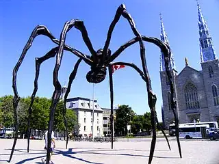Spider in Canada
