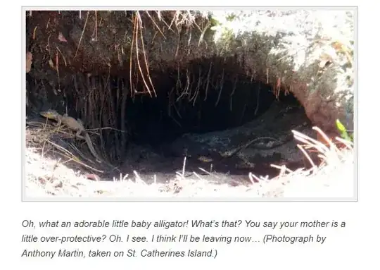 alligator tunnel