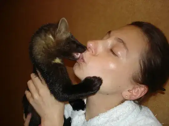 domesticated ferret