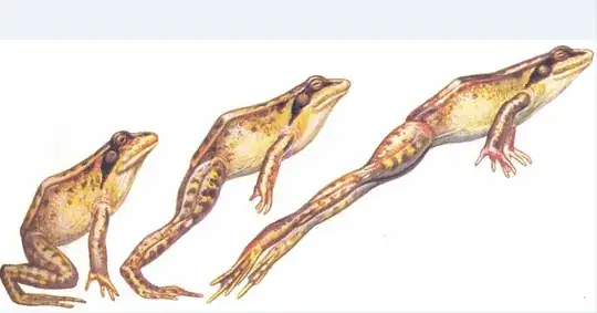 frog hopping